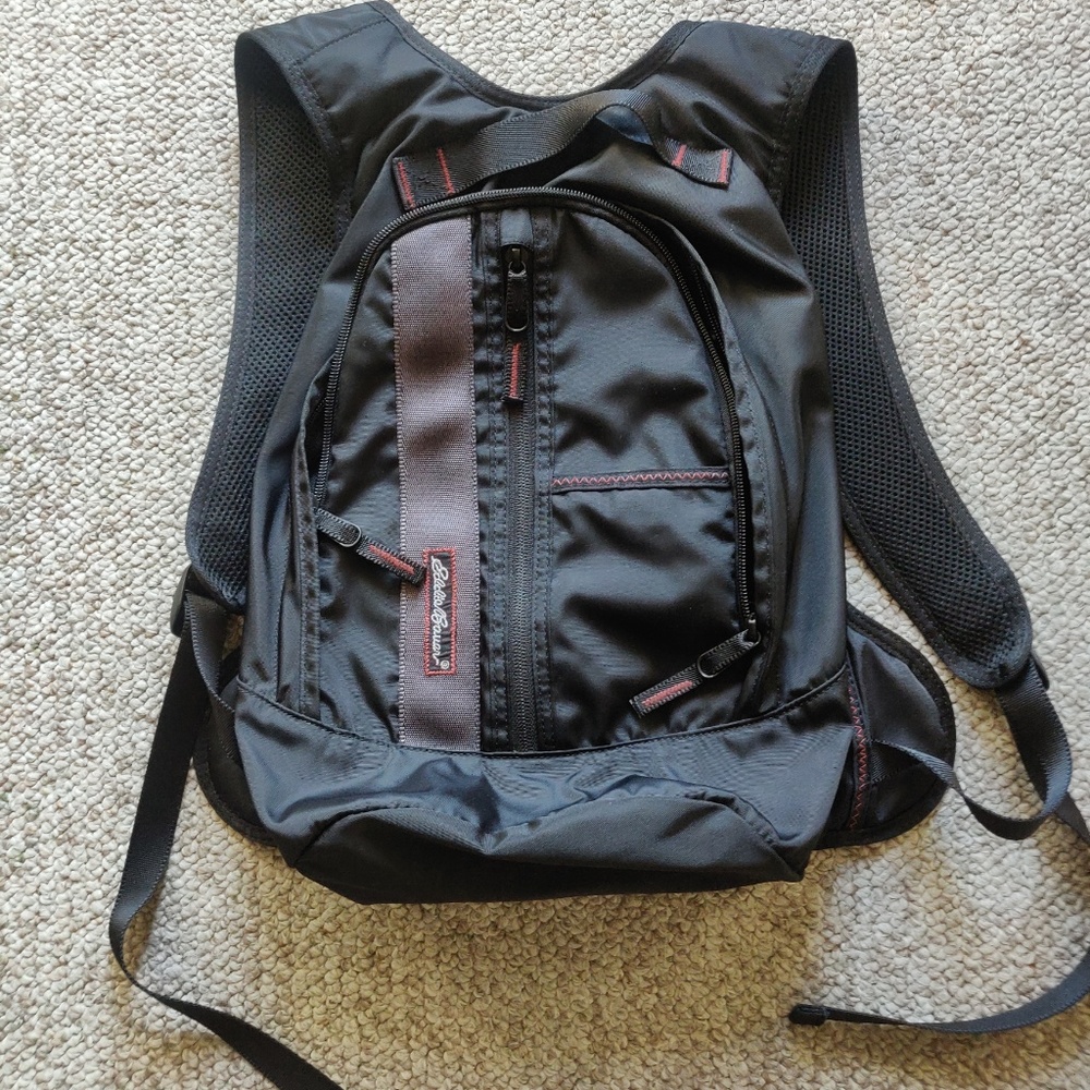 Eddie Bauer Back Pack (small)